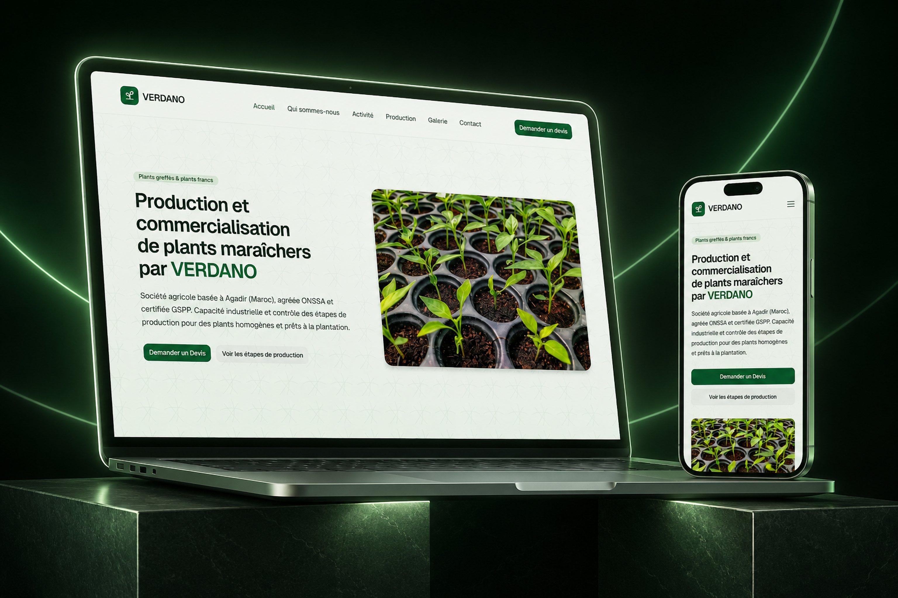 VERDANO case study showcase